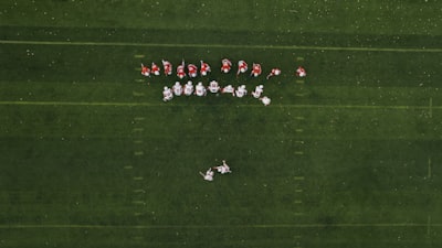 نيوكاسل وتشيلسي مباشرمواجهة نارية في الدوري الإنجليزي الممتاز